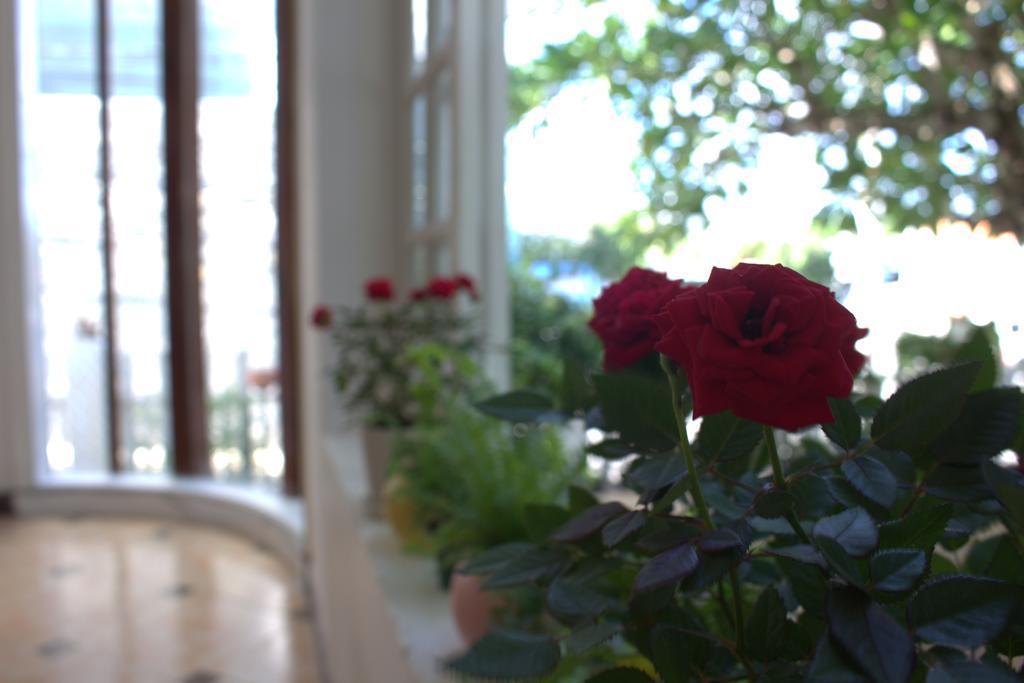 Des Ami Villa Vung Tau Eksteriør bilde