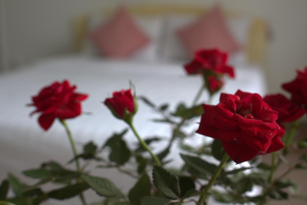 Des Ami Villa Vung Tau Eksteriør bilde