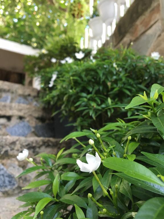 Des Ami Villa Vung Tau Eksteriør bilde