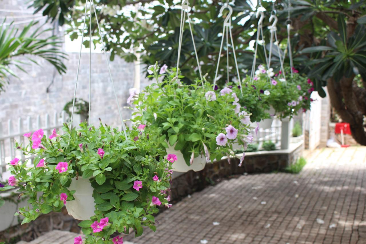 Des Ami Villa Vung Tau Eksteriør bilde